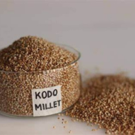 Kodo Millets