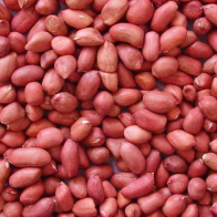 Groundnut-PREMIUM